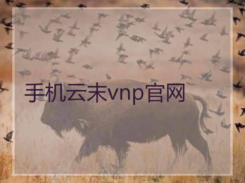 手机云末vnp官网