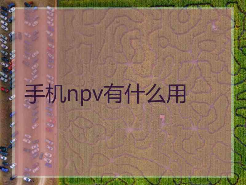 手机npv有什么用