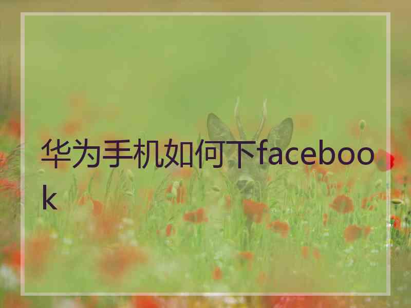 华为手机如何下facebook