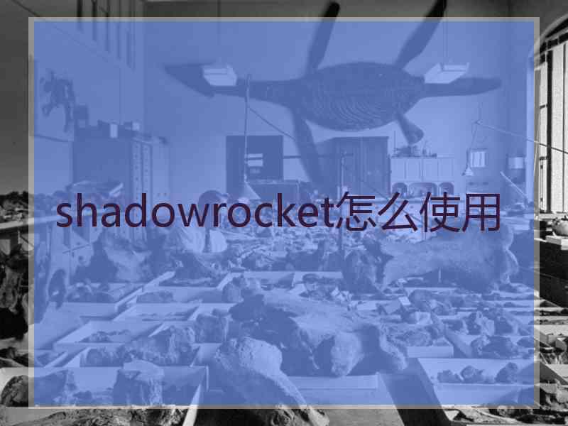 shadowrocket怎么使用