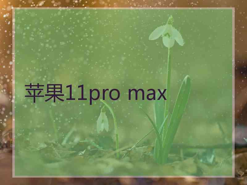 苹果11pro max