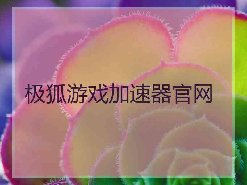 极狐游戏加速器官网