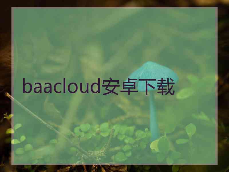 baacloud安卓下载