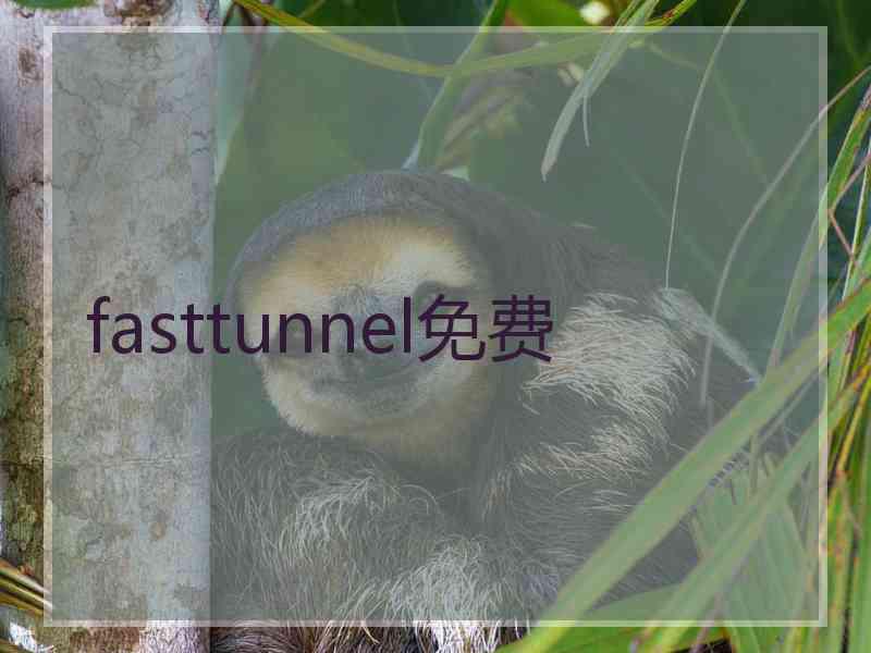 fasttunnel免费