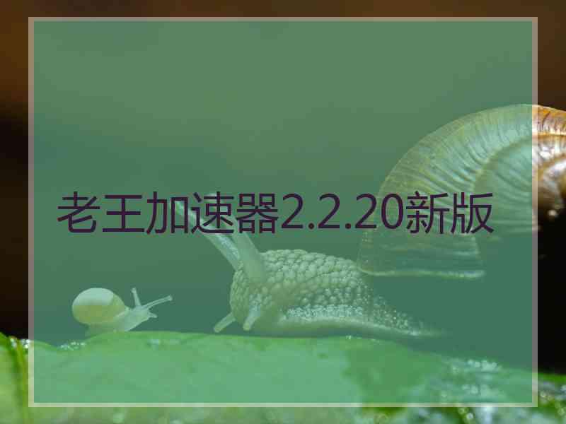 老王加速器2.2.20新版