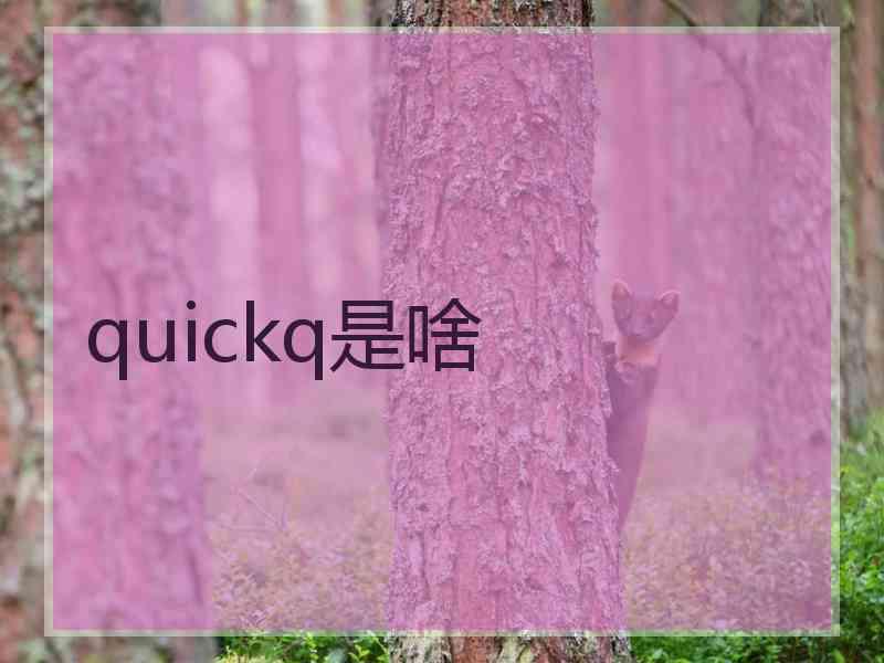 quickq是啥