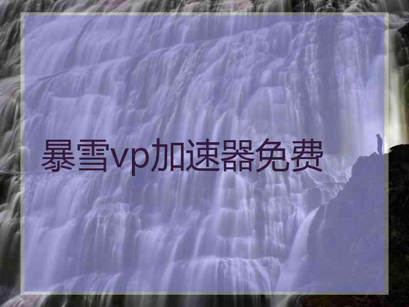 暴雪vp加速器免费