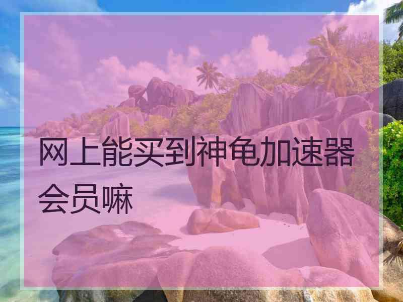 网上能买到神龟加速器会员嘛