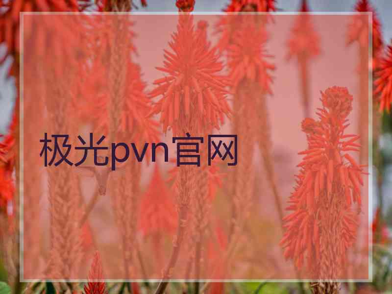 极光pvn官网