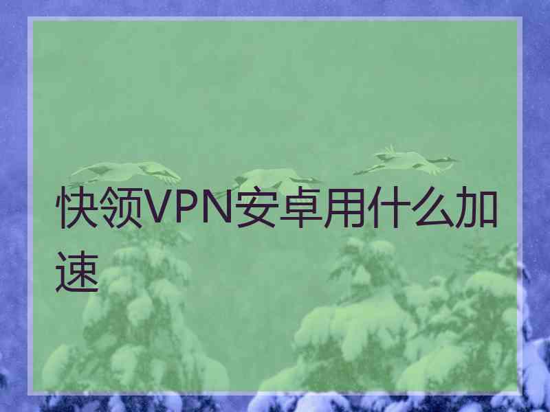 快领VPN安卓用什么加速