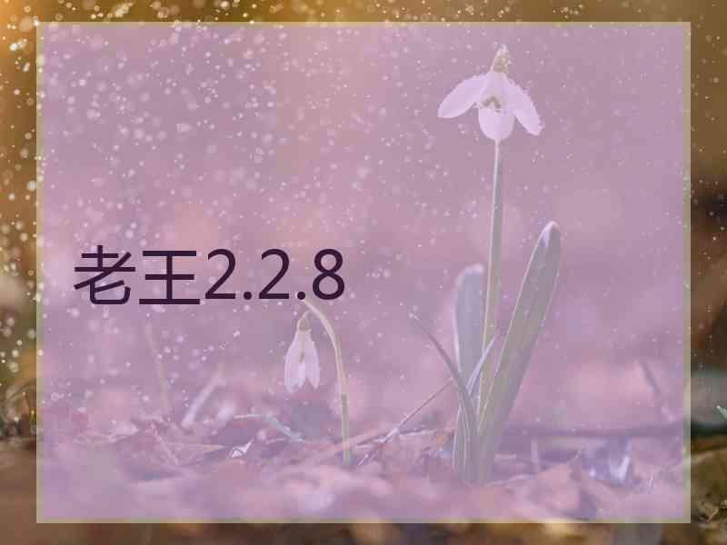 老王2.2.8