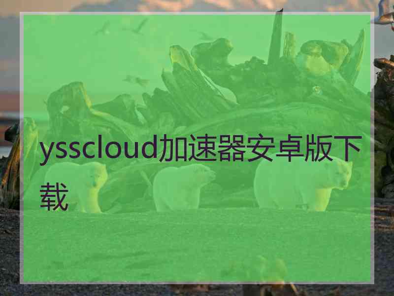 ysscloud加速器安卓版下载