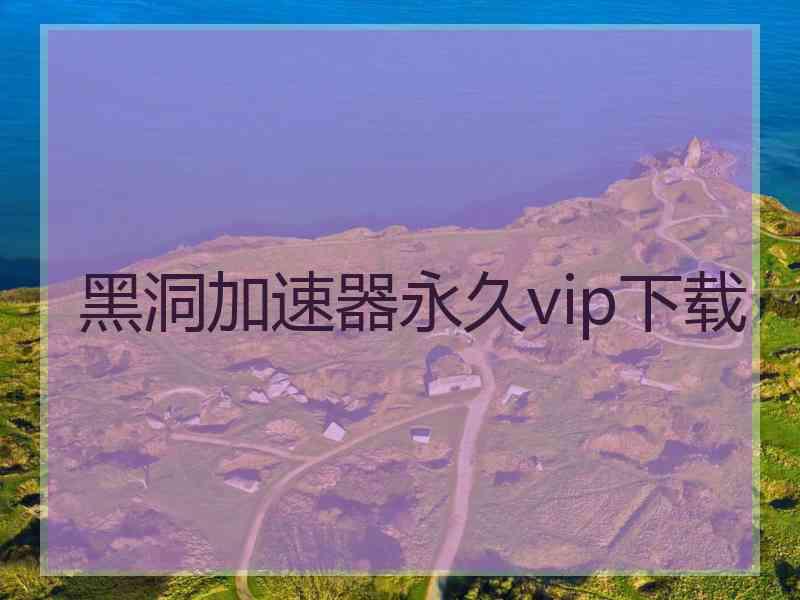 黑洞加速器永久vip下载