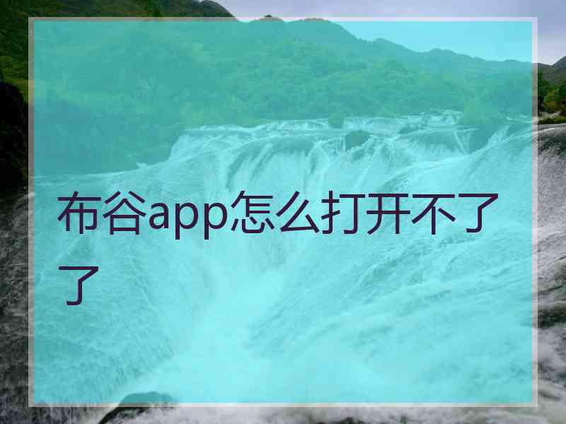 布谷app怎么打开不了了