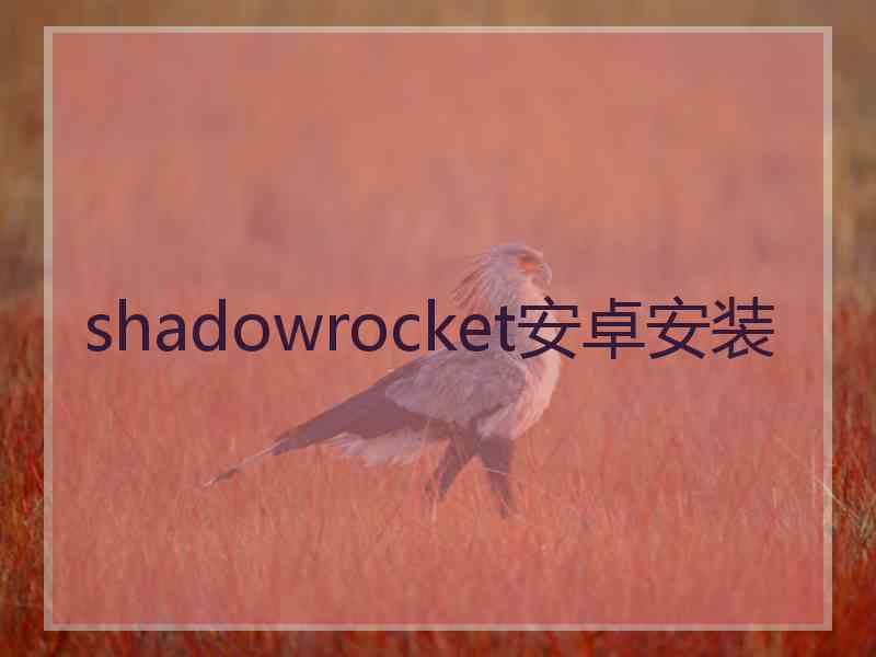 shadowrocket安卓安装