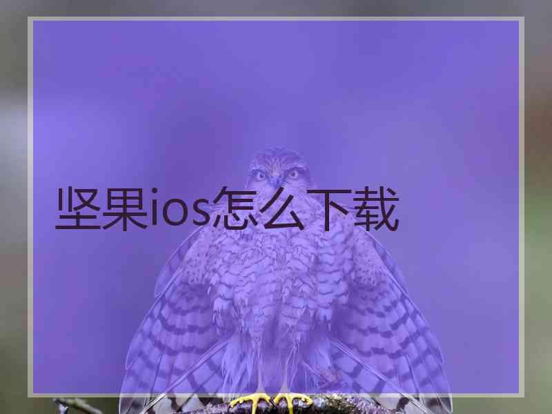 坚果ios怎么下载