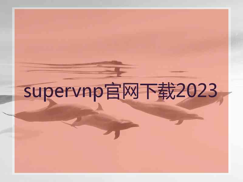 supervnp官网下载2023