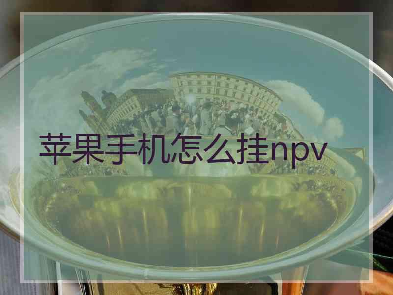 苹果手机怎么挂npv