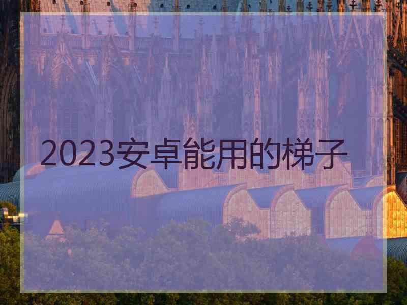 2023安卓能用的梯子