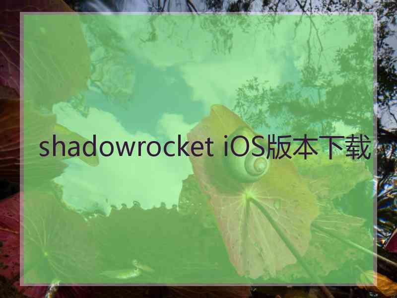 shadowrocket iOS版本下载