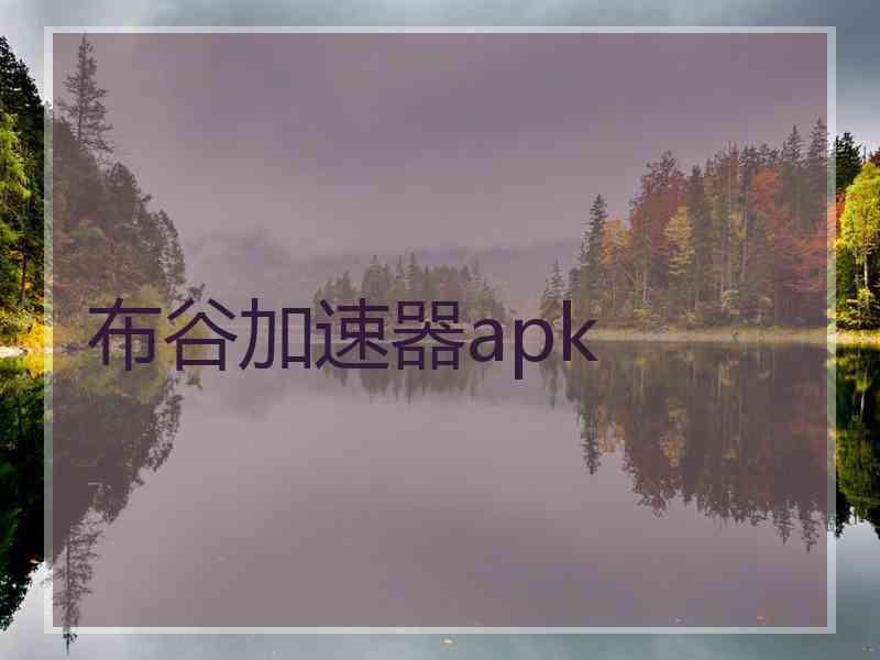 布谷加速器apk