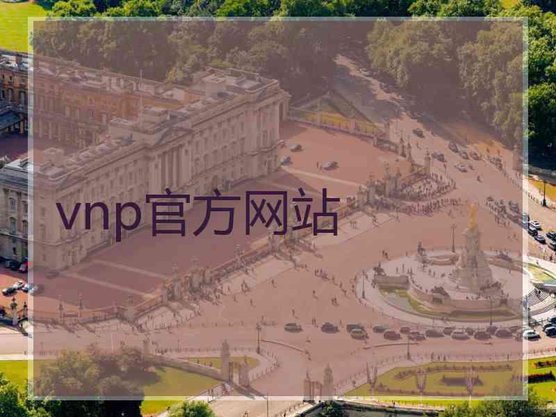 vnp官方网站