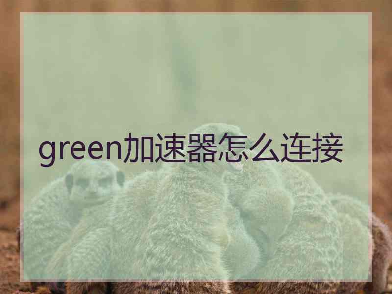 green加速器怎么连接