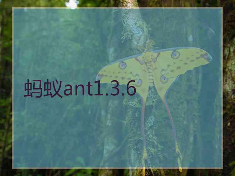 蚂蚁ant1.3.6