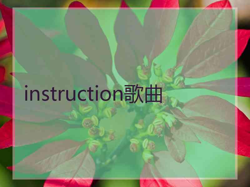 instruction歌曲