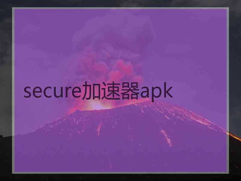 secure加速器apk