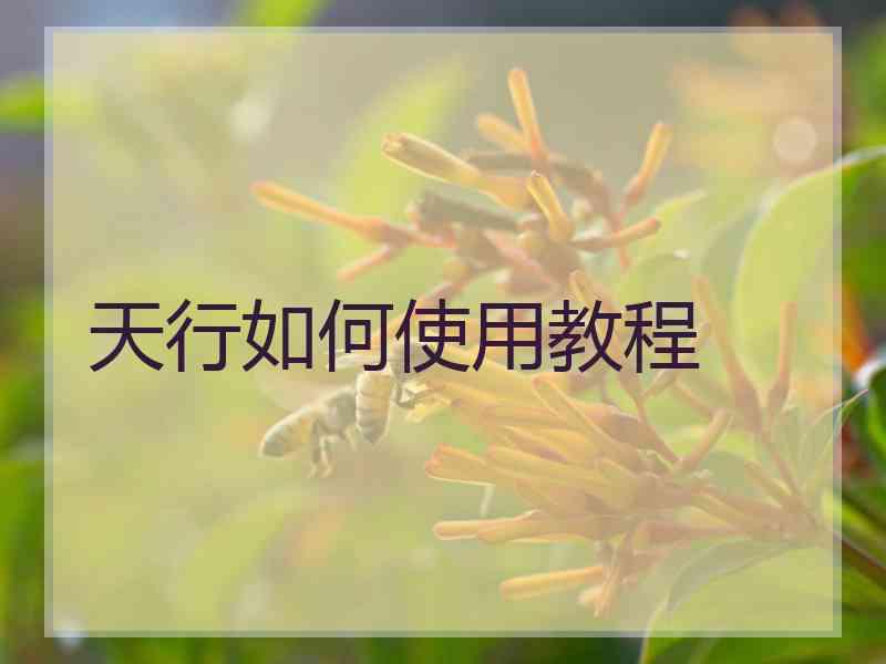 天行如何使用教程