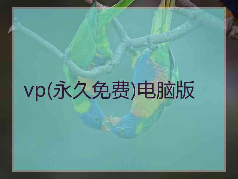 vp(永久免费)电脑版