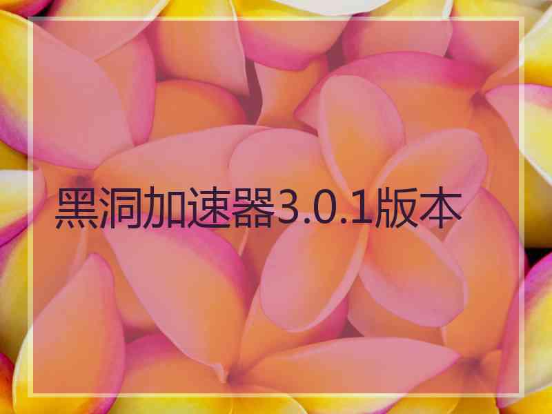 黑洞加速器3.0.1版本