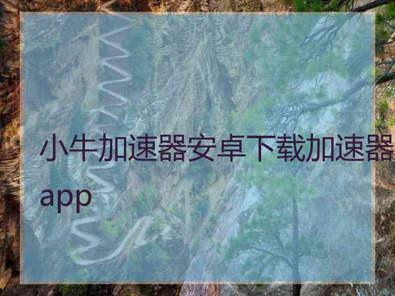 小牛加速器安卓下载加速器app