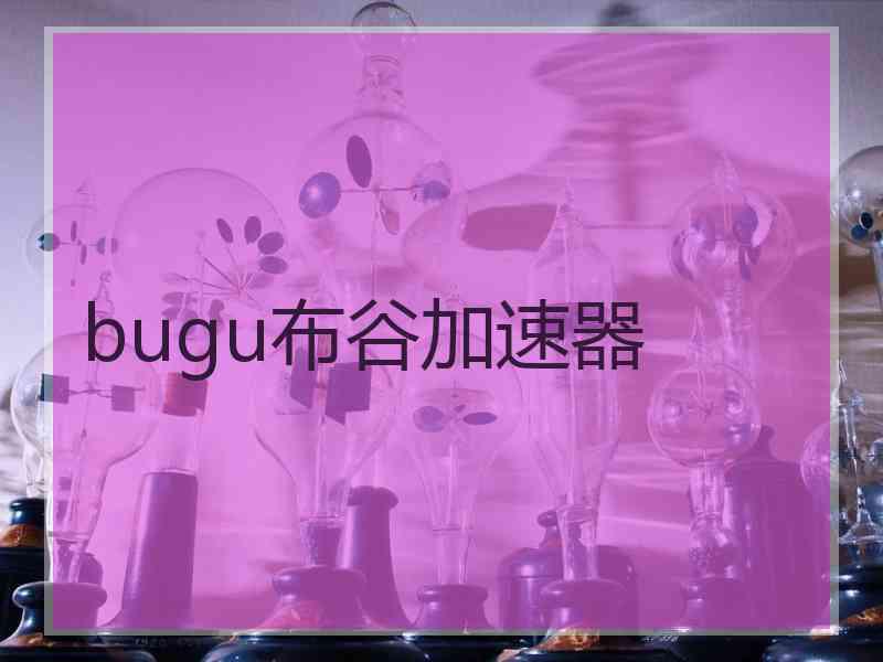 bugu布谷加速器