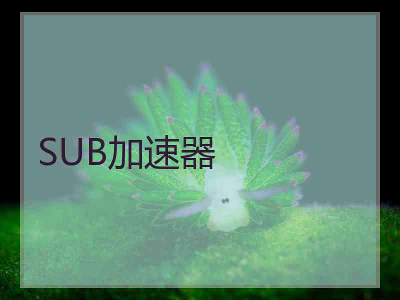 SUB加速器