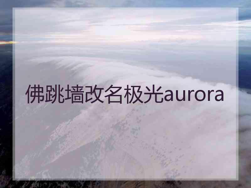 佛跳墙改名极光aurora