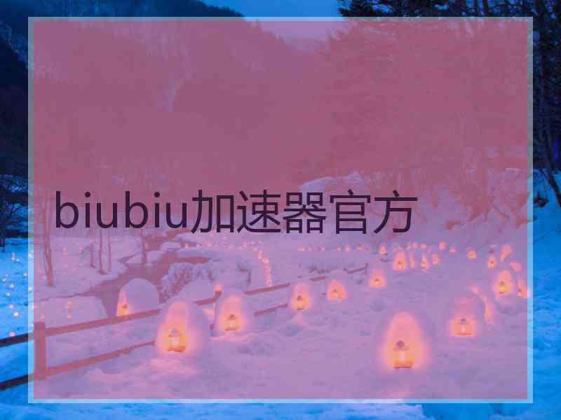 biubiu加速器官方