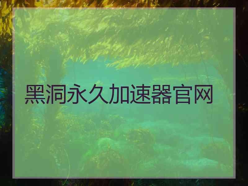 黑洞永久加速器官网