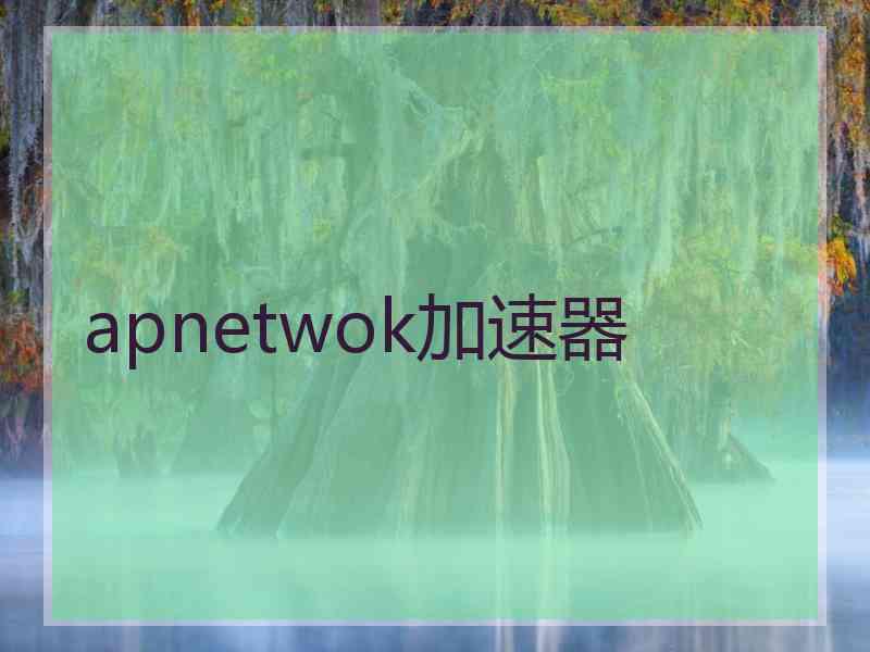 apnetwok加速器