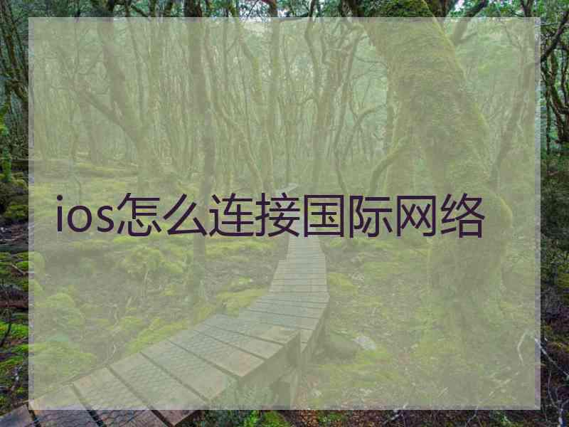 ios怎么连接国际网络