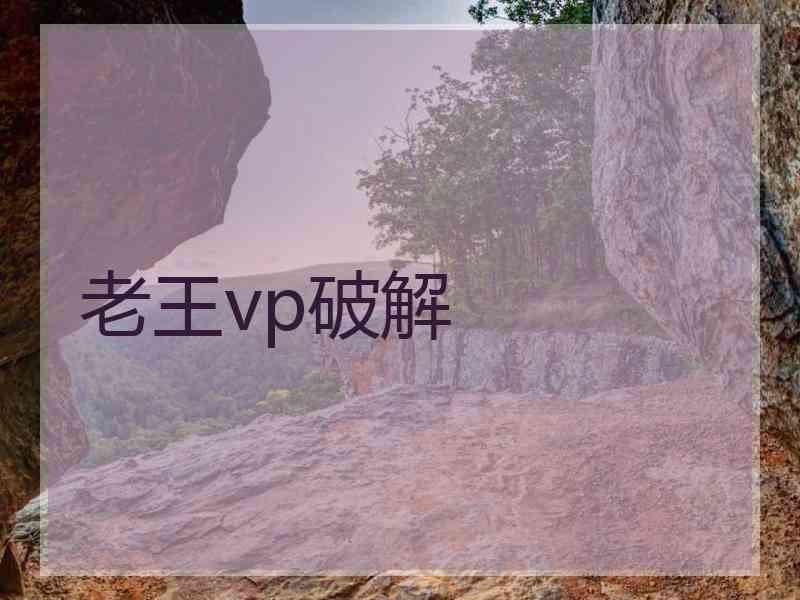 老王vp破解