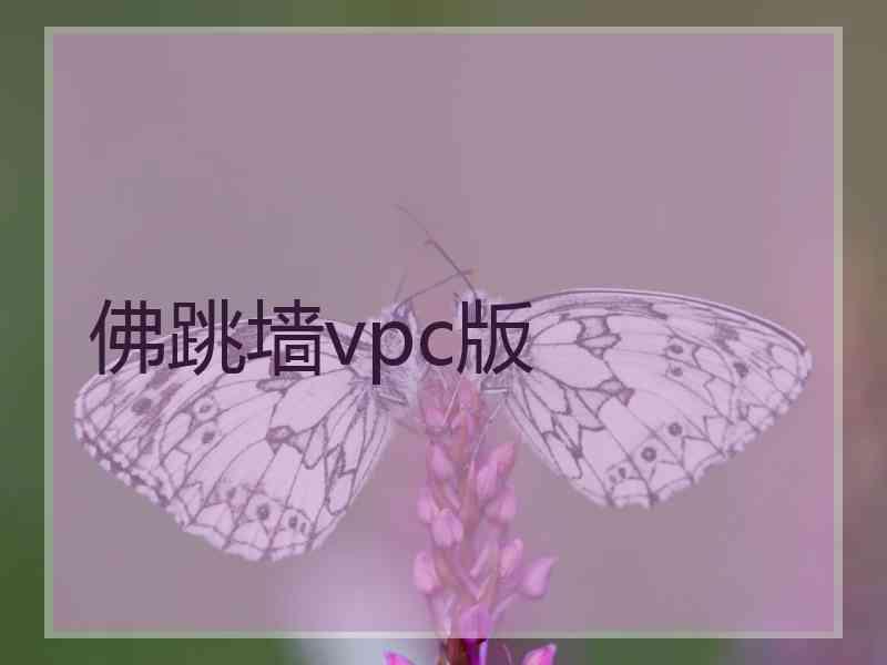 佛跳墙vpc版