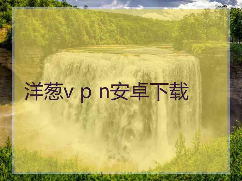 洋葱v p n安卓下载