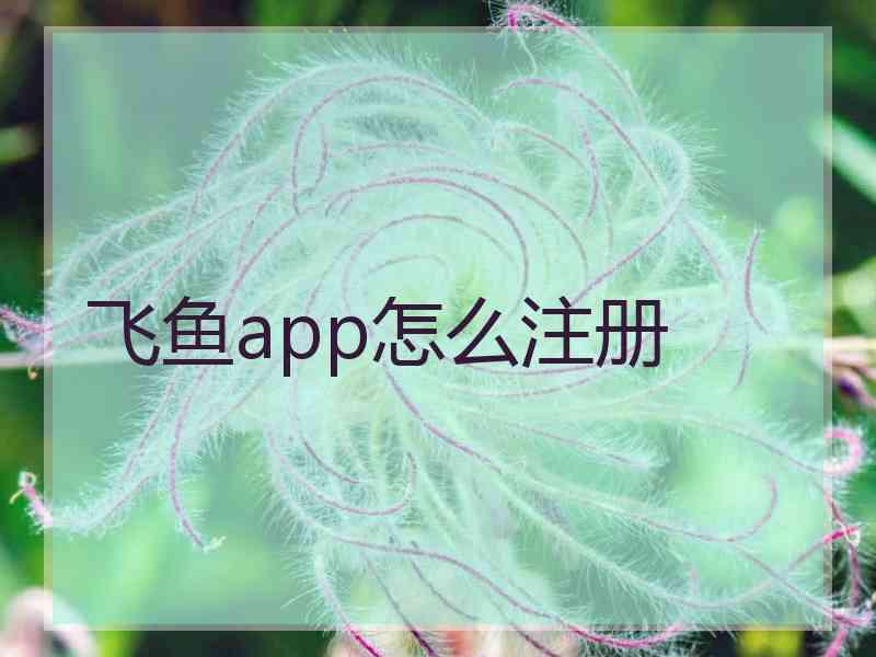 飞鱼app怎么注册 飞鱼app怎么注册
