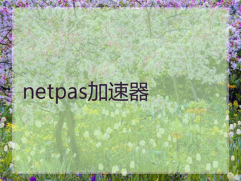 netpas加速器