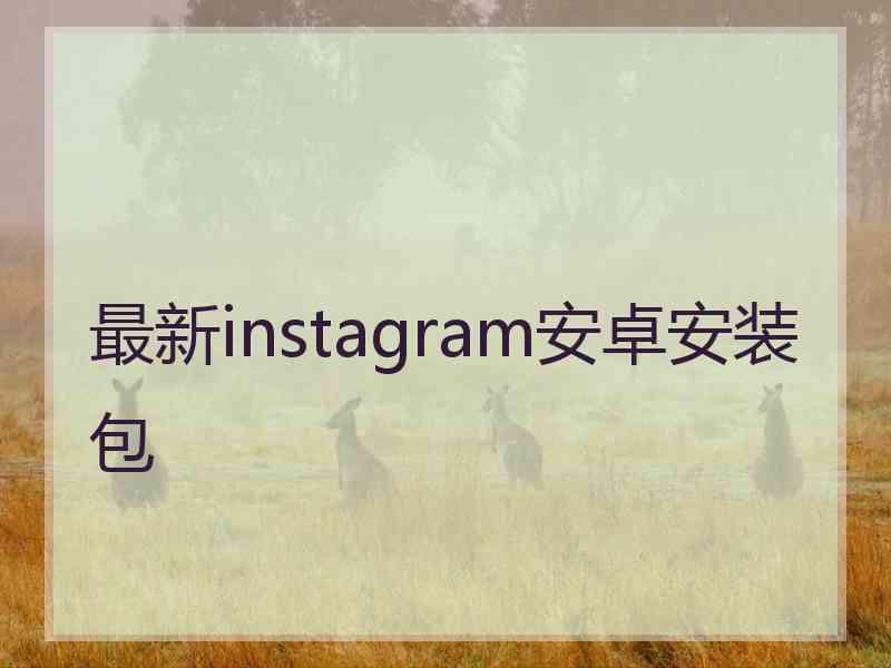 最新instagram安卓安装包