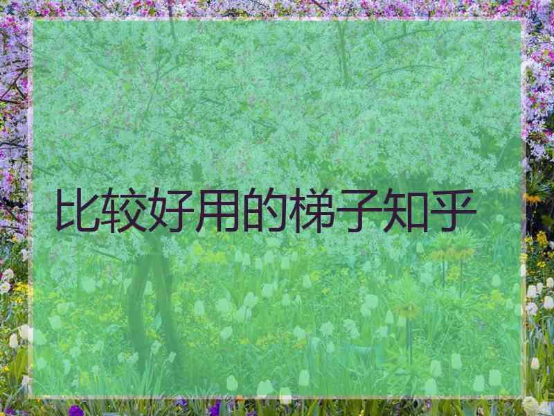 比较好用的梯子知乎
