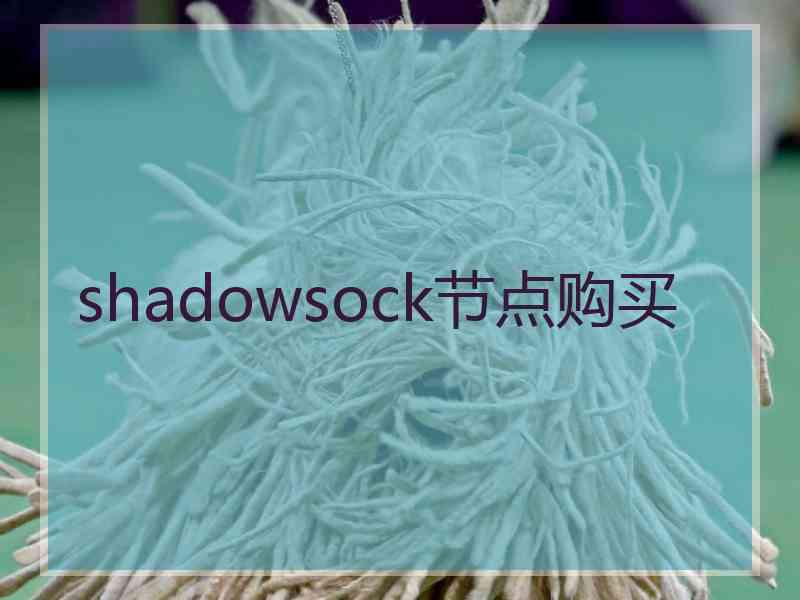 shadowsock节点购买