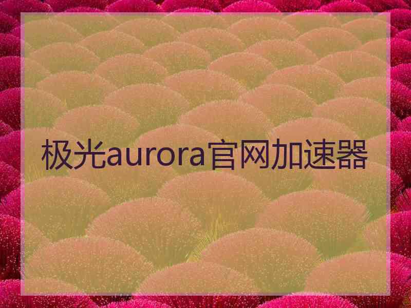 极光aurora官网加速器